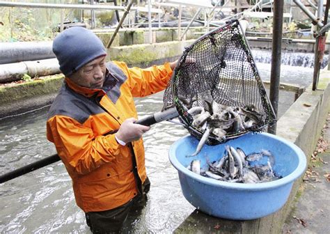 角掛養魚場|映像保存立会い 